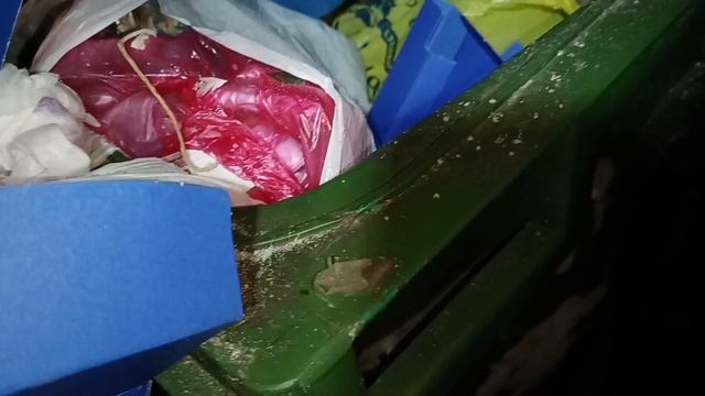 Поедем поглядим!!!Находки с мусорки!!!