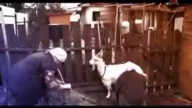Деньги и несчастье ЛЕГЕНДЫ СОВЕТСКОГО СЫСКА