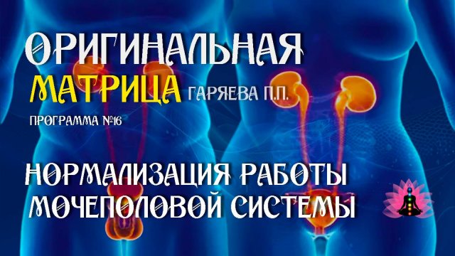Нормализация работы мочеполовой системы» Программа №16⚠️ Оригинальная матрица ☀️ SoftRadio.ru