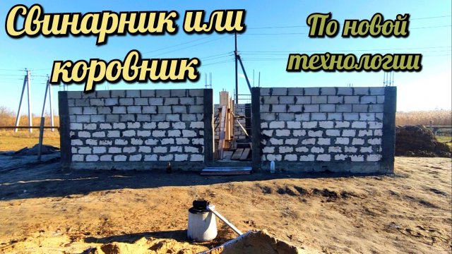 Строим свинарник по новой технологии.