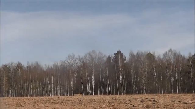 начало мая на пасеке берендей