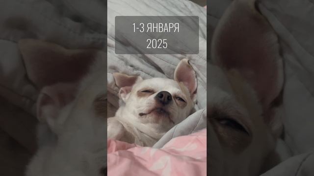 Новогодние праздники 😴