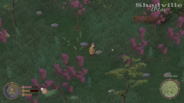 Загадочный Миртвуд ⚔ Mirthwood Прохождение игры #1