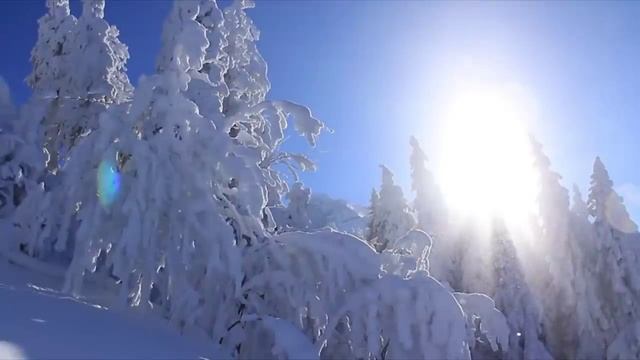 Зима. Сергей Чекалин