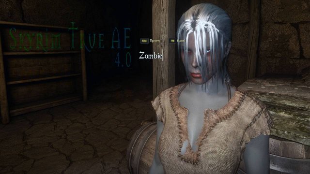 Skyrim True AE 4.0 - Выход из клетки