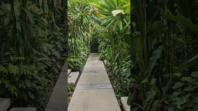 Koh Samui Evergreen Hotel โรงแรมเกาะสมุย เอเวอร์กรีน