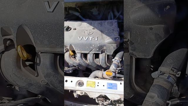 Toyota 1nz-fe,плавают обороты двигателя, дёргается АКПП