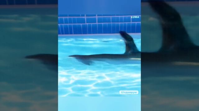 1000097688.mp4