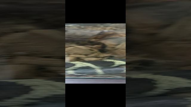 змея
