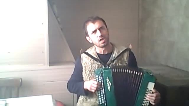 Романс "Ах, зачем эта ночь так была хороша" под гармонь