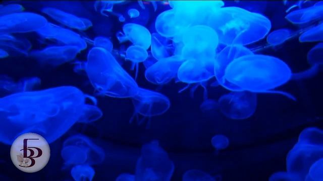 Вода - источник жизни! Все о воде.#здоровье #вода #правила применение