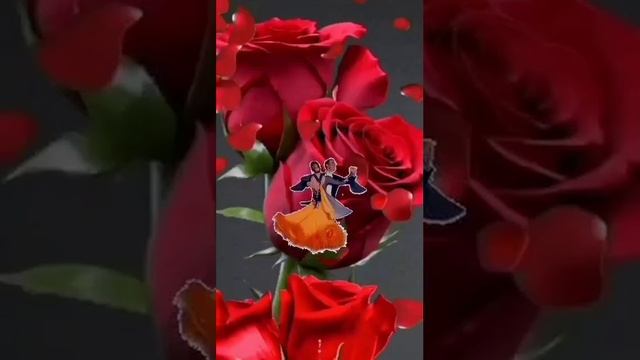 Фәрүәз Урманшин - Эх, рәхәт йәшәүҙәре донъяла!