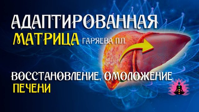Мощное омоложение печени 🌀 Адаптированная матрица по технологии Гаряева ☀️ SoftRadio.ru
