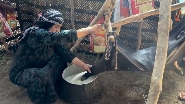 Nomads life | production of Buttermilk by Nomads using Traditional Methods | Iranian Nomads 2023