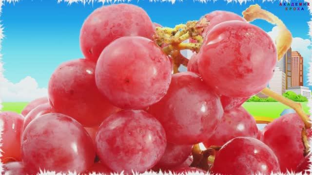 Киндер Сюрпризы: Увлекательные Фрукты и Ягоды | Развивающие мультфильмы для детей