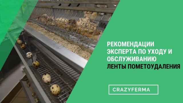 🎥Лента пометоудаления – все, что нужно знать о ней. Клетки для птиц серии "Multipro"
