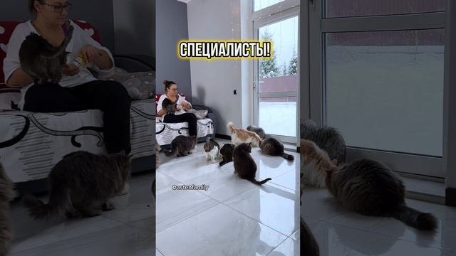 Специалисты