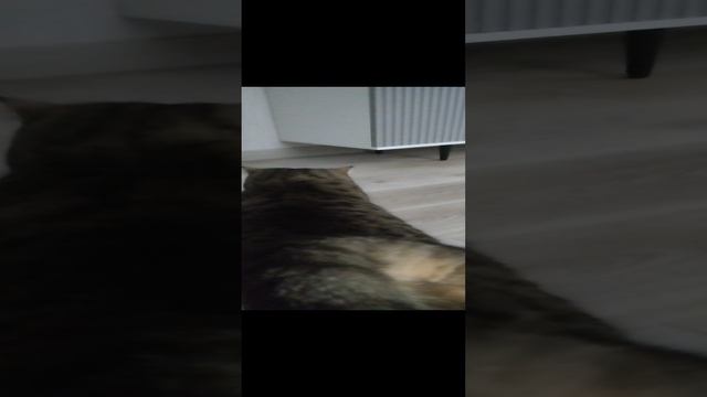 просто привет