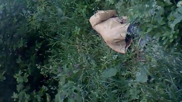 ЗОЛОТОЙ ДОЖДЬ