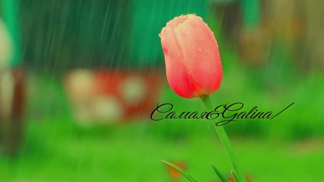 The Best Music for Relax- Music-Harmony of Soul and Body-18/12/2024-Самая&Galina.