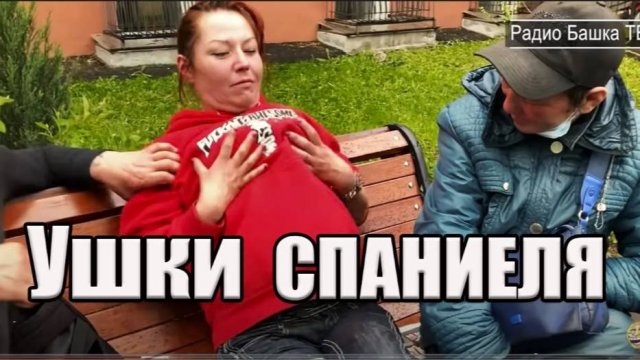 РадиоБашка Ушки СПАНИЕЛЯ | Савок переезжает| ДЕНЬ БОМЖА ТВ