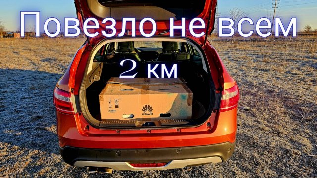 Не всем голубям повезёт 2км