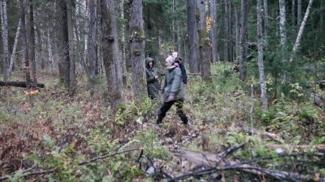 "Лесоповал"