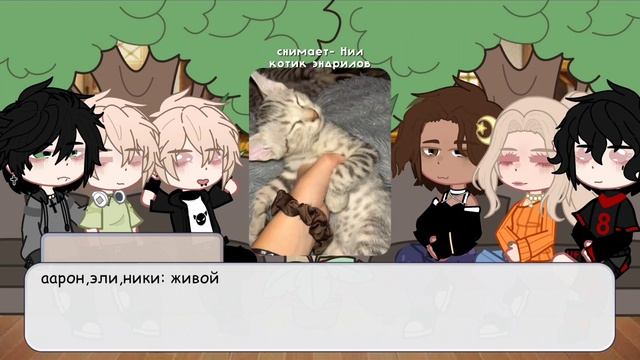 Реакция Всë ради игры на Нила как рандом