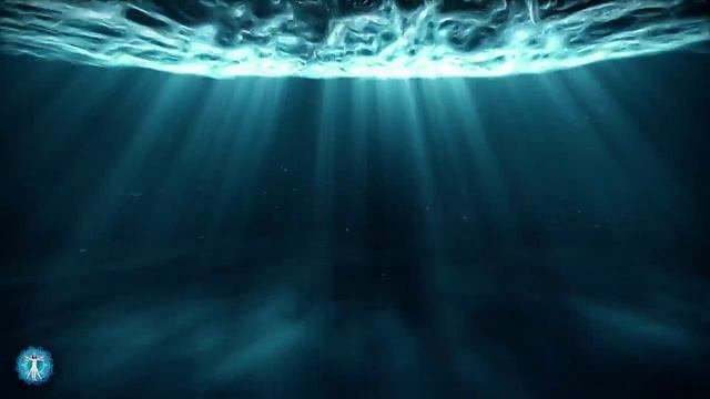 ⋆༺𓆩Д ᧐ ɸ ᥲ ʍ ᥙ н . Э н д ᧐ ρ ɸ ᥙ н . С ᥱ ρ ᧐ ᴛ ᧐ н ᥙ н𓆪༻⋆