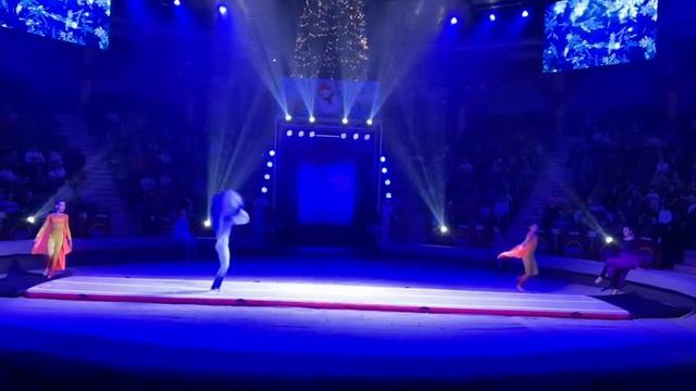 акробатическая дорожка " Млечный путь",новогодние выступления в Симферополе