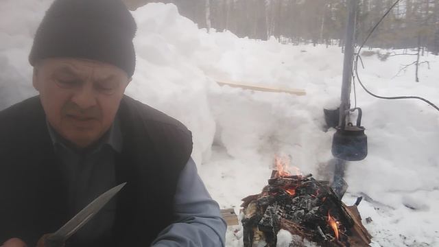 Лесные байки медведь и блины.