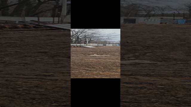 Зеленая