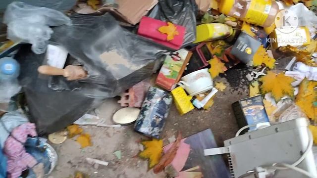 Обогащаюсь на мусорках Москвы.  N  98