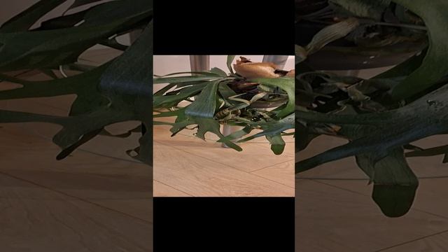 20241115_205756