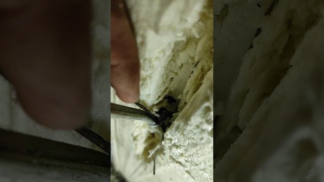 утечка фреона ВЕКО #холодильник #ремонт