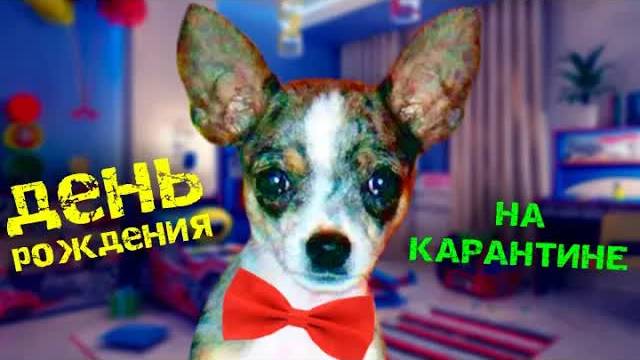 МОЕ ДЕТСТВО ГЛАЗАМИ СОБАКИ И КОШКИ! ДЕНЬ РОЖДЕНИЯ НА КАРАНТИНЕ