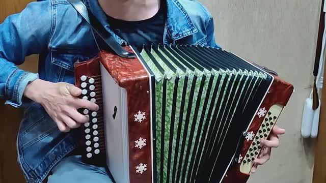 От чего так в России березы шумят  Кировская гармонь после ремонта и настройки у мастера