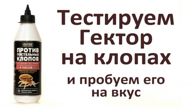 Испытываем Гектор против клопов - самое безопасное для людей средство