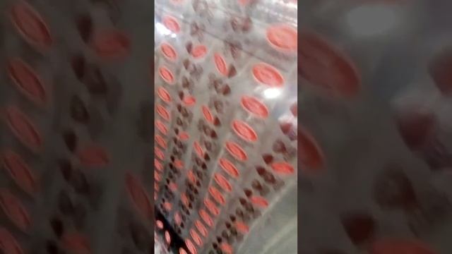 Изготовление фантика.Легендарный трюфель.
Самый сложный фантик во вселенной 🍬