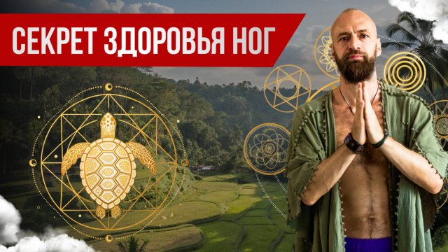 Цигун комплекс Черепашка: мощная практика заземления, оздоровительный Цигун для ног