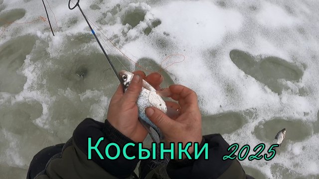 РЫБАЛКА НА КОСЫНКИ 2025.