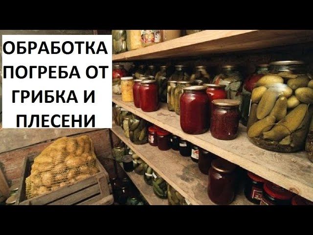 Обработка погреба от грибка и плесени.