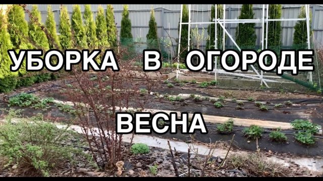 Убираюсь в огороде