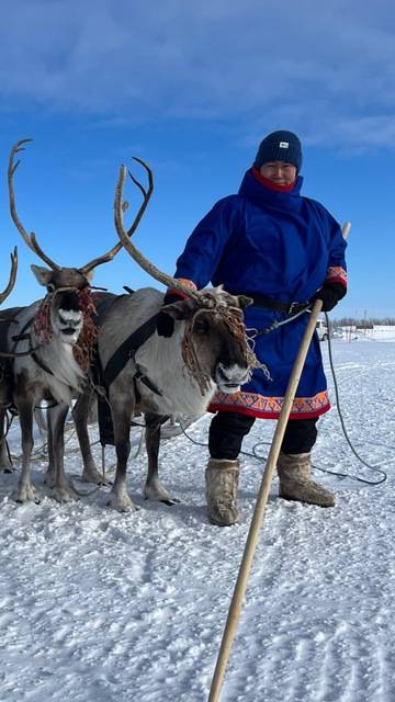 🦌🦌🦌🦌 rider