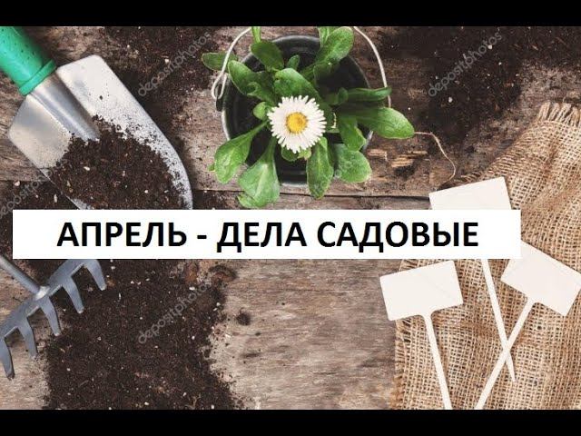 Апрель - дела садовые)))