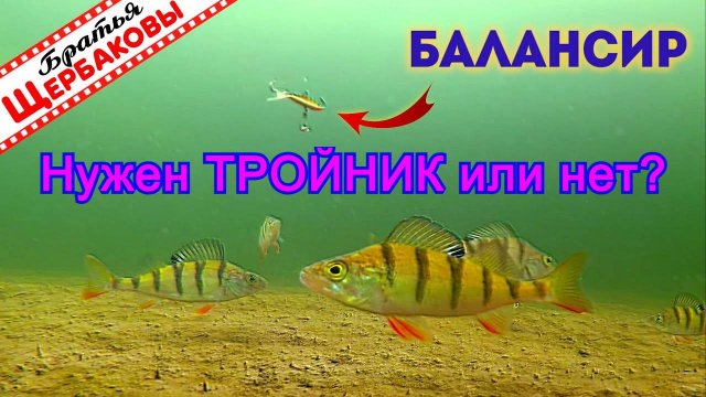 Нужен Тройник или нет? | Балансир на Окуня
