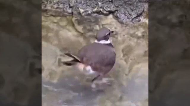 Видео игры