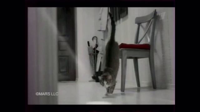 Махеевь и KiteKat реклама