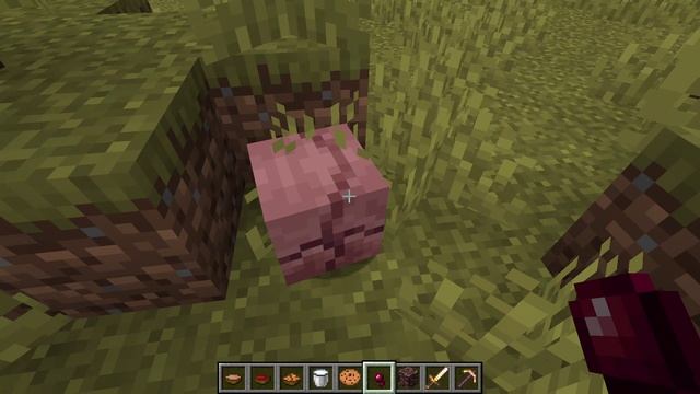 Саша играет в  Minecraft 2