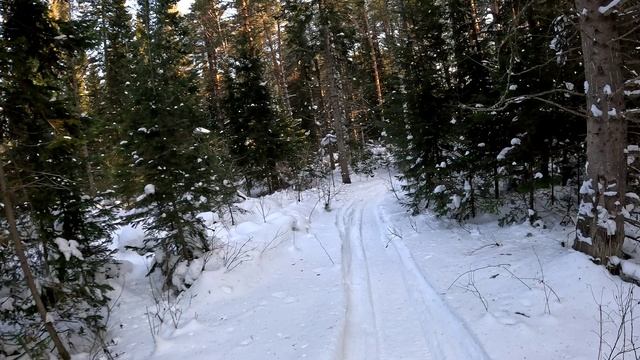 Про Снегоход Бурлак АЗИМУТ. 1 часть